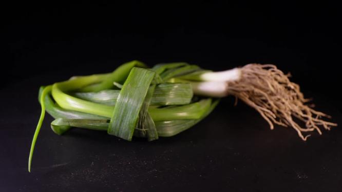 小葱毛葱调味食材