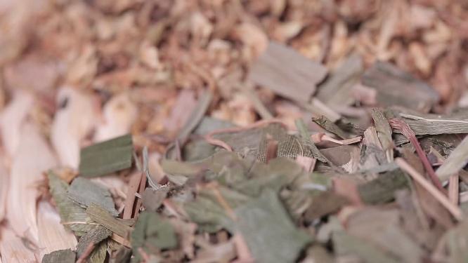 【镜头合集】中医中药代茶饮药茶陈皮荷叶白菊花养生保健