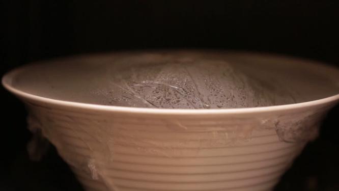 【镜头合集】使用厨房电器微波炉电烤箱