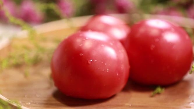 【镜头合集】夏季番茄西红柿蔬菜