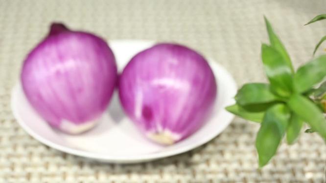 【镜头合集】洋葱圆葱蔬菜