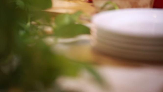 【镜头合集】番茄西红柿维生素