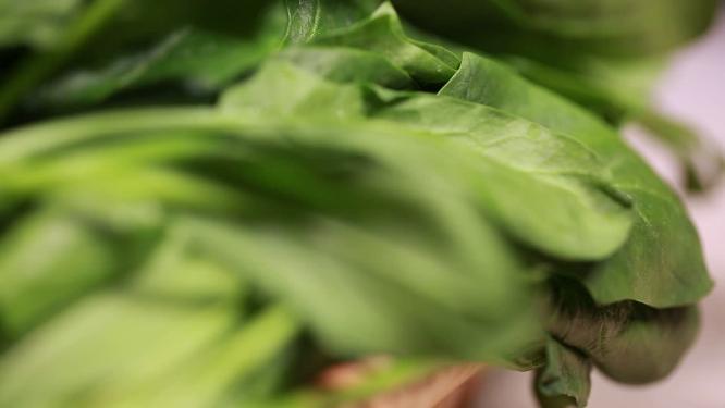 【镜头合集】菠菜青菜菜叶特写叶脉叶绿素