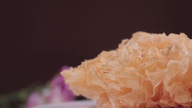 【镜头合集】食材干银耳泡发