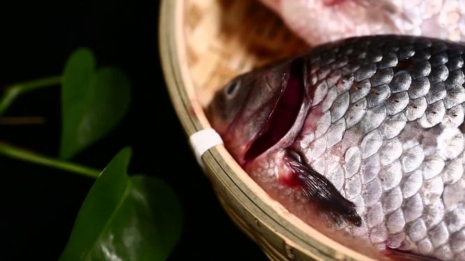 【镜头合集】鱼鳃辨别鱼新鲜程度