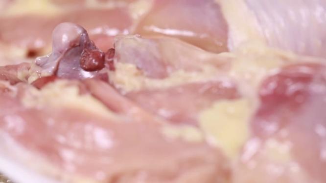 【镜头合集】鸡腿鸡肉手枪腿琵琶腿