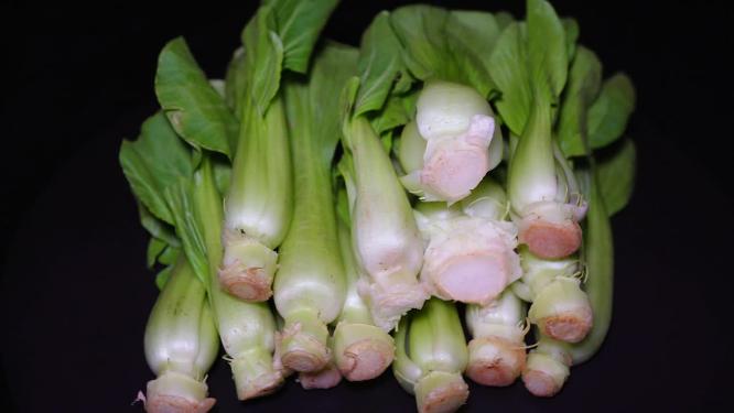 油菜菜心绿菜叶嫩叶蔬菜