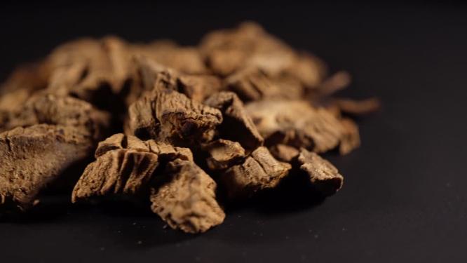 盐续断中药中草药中医药材