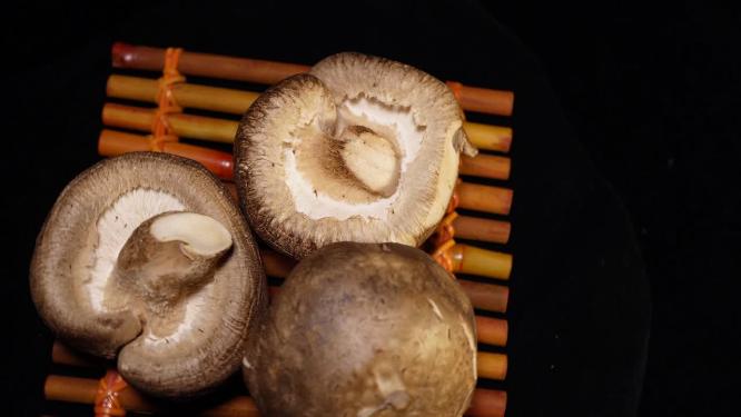 香菇蘑菇菌菇食用菌