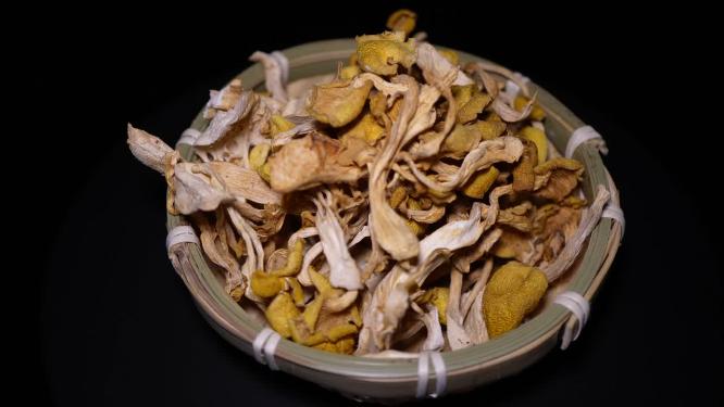 东北特产鸡油菌干蘑菇黄金股小黄蘑菇榆黄蘑