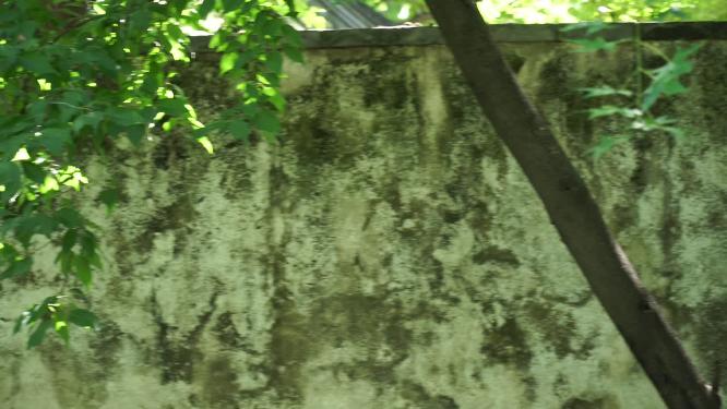 古代砖墙石砖城墙遗迹遗址青苔