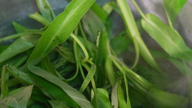处理空心菜煮制空心菜洗菜青菜