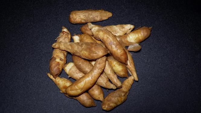 广东沙姜山奈食材小吃