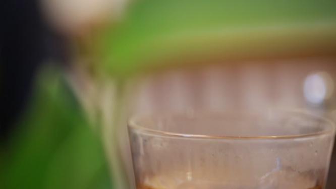 泡红茶喝茶品茶茶道