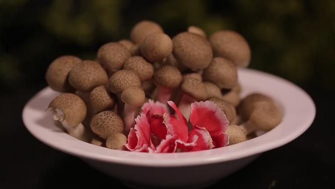 海鲜菇蟹味菇蘑菇