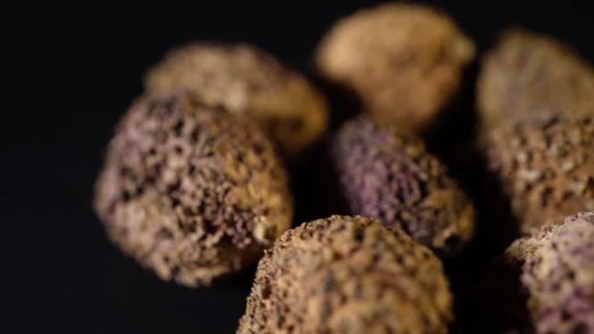 砂仁中药中草药中医药材
