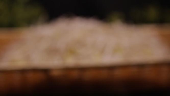 绿豆芽嫩豆芽