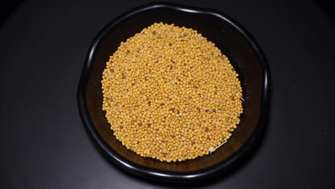 芥末籽香料调料卤肉食材调味料