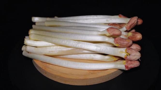 花生苗时令蔬菜芽苗菜食材