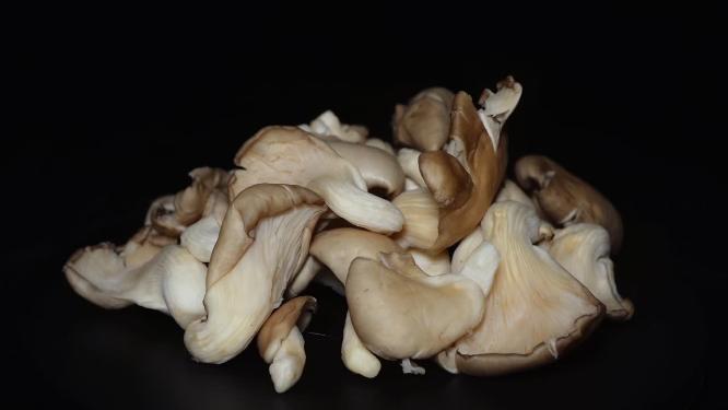迷你蘑菇秀珍菇蘑菇食用菌