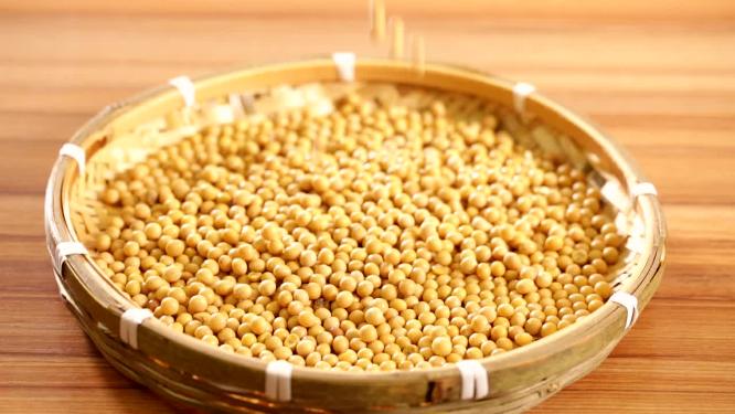 黄豆大豆粗粮食材