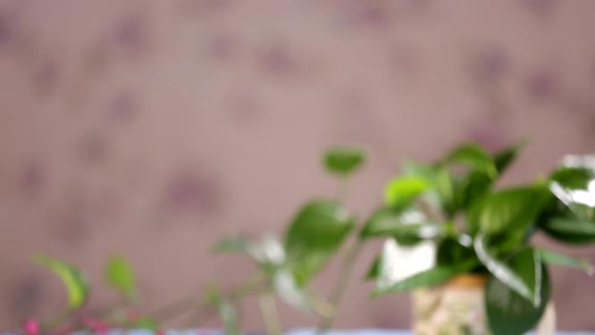上海菜本帮菜杭帮菜油焖笋红焖笋