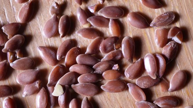 兰花亚麻种子四季鲜花种子园丁花园植物种植