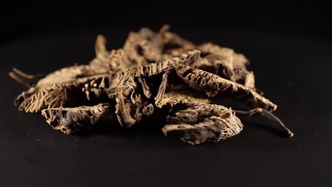 升麻中药中草药中医药材