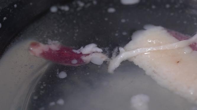 模拟胃液消化肉类消化系统