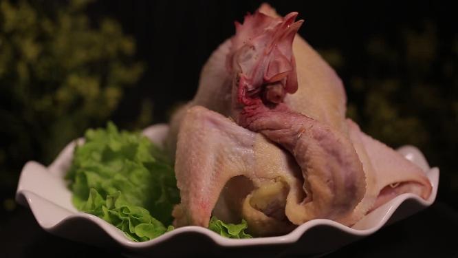 生鸡整鸡鸡肉