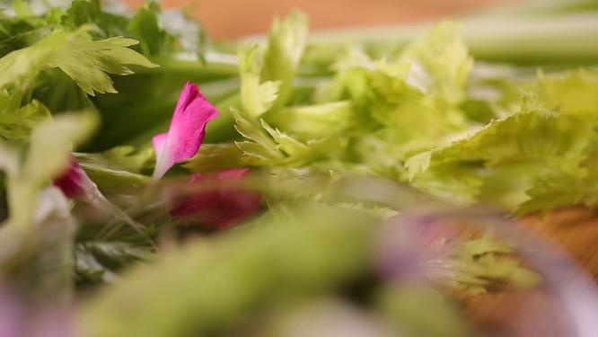 芹菜叶子蔬菜叶子