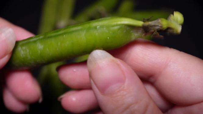 【镜头合集】剥开带壳豌豆青豆豆子豆粒