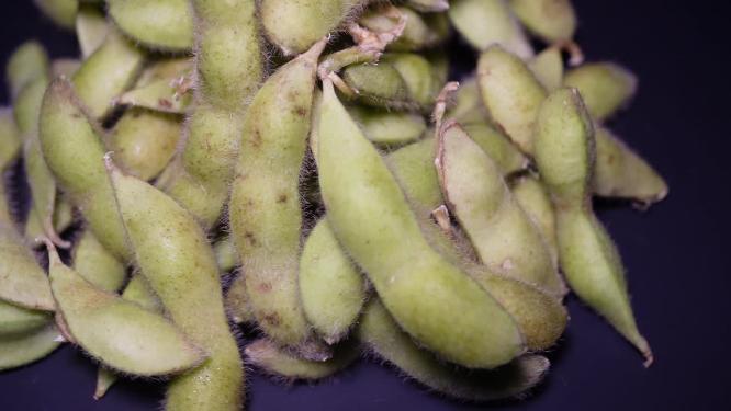 【镜头合集】剥毛豆下酒菜时令小菜