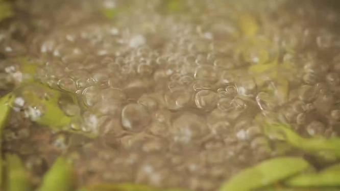 【镜头合集】剪毛豆择毛豆卤制毛豆煮毛豆