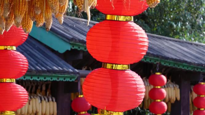 【镜头合集】大红灯笼年节喜庆氛围过年气氛五谷丰登