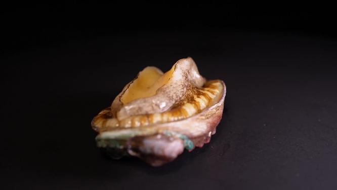 【镜头合集】海鲜生鲜小鲍鱼