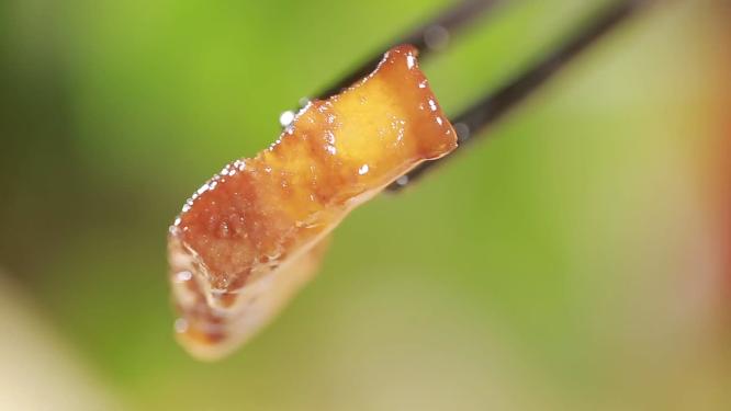 【镜头合集】筷子夹起鱿鱼鱿鱼须炖肉
