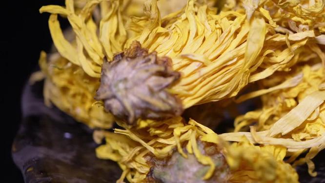 【镜头合集】花茶金丝皇菊黄菊花去火胎菊菊花茶