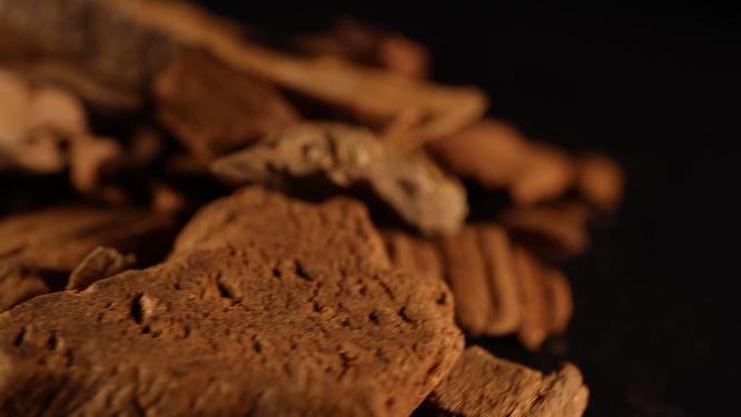 【镜头合集】茯神木中药中草药中医药材