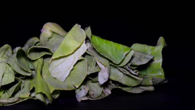 【镜头合集】菜心菜苗蔬菜绿叶菜