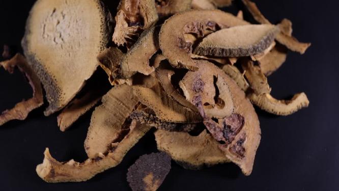 【镜头合集】麸炒枳壳中药中草药中医药材