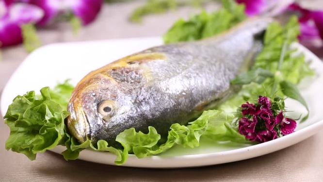 【镜头合集】黄花鱼大黄鱼
