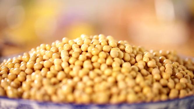【镜头合集】豆子黄豆大豆粗粮水发黄豆
