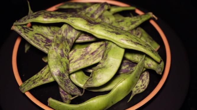 【镜头合集】东北特产大马掌豆角油豆角紫豆角