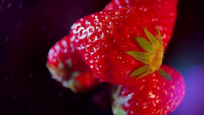 【镜头合集】丹东大草莓
