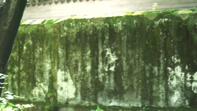 古代砖墙石砖城墙遗迹遗址青苔