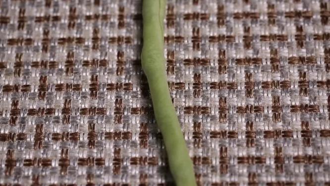 【镜头合集】各种品种的豆角对比