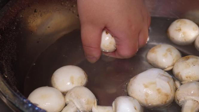 【镜头合集】各种蘑菇清洗口蘑煮蘑菇做饭