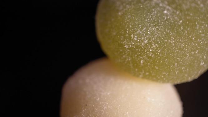 【镜头合集】大福三色麻薯