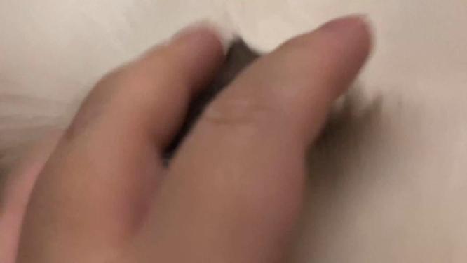 【镜头合集】撸猫猫咪布偶猫毛发宠物~